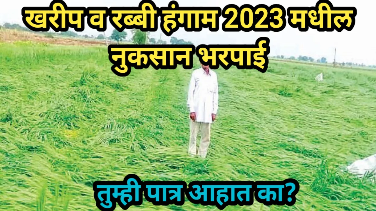 खरीप व रब्बी हंगाम 2023 मधील नुकसान भरपाई, तुम्ही पात्र आहात का? | खरीप व रब्बी हंगाम 2023 मधील नुकसान भरपाई, तुम्ही पात्र आहात का? | Pik Vima Yojana 